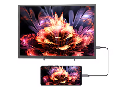 Pixenex™ Écran TV portable